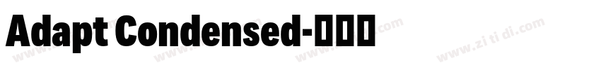 Adapt Condensed字体转换